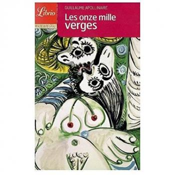 Les amours d'un hospodar Poche