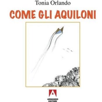 Come gli aquiloni: Libri illustrati