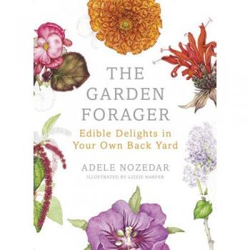 The Garden Forager: Edible Delights In Your Own Back Yard (Hardcover)