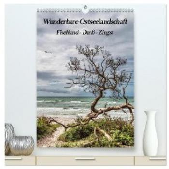 Premium Wandkalender 2024 Ostseelandschaft Fischland-Darß-Zingst