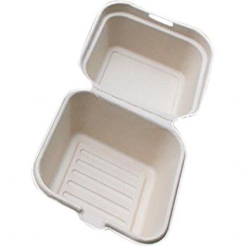 FunPrint 10x Disposable Bento Boxes for Snacks & Cakes