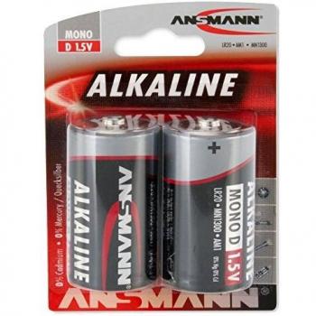 Pilas Alcalinas D (x2)