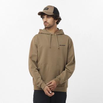 Sudadera de hombre Salomon Graphic Performance marrón, tipo: sudadera con capucha, características: diseño gráfico, rendimiento para montaña, talla L