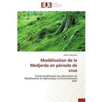 Modélisation de la Medjerda en période de crue: Travail académique du Laboratoire de Modélisation en Hydraulique et Environnement ENIT (Omn.Univ.Europ.)