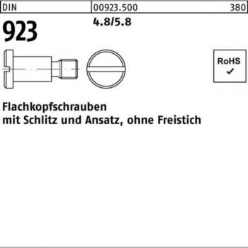 Nobrand Flachkopfschraube 100er Pack M4x12