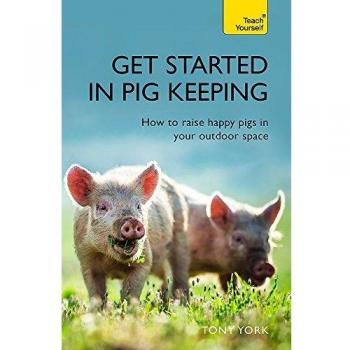 Get Started In Pig Keeping: How to raise happy pigs in your outdoor space