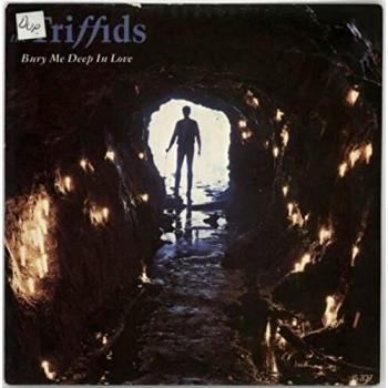 The Triffids