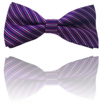Papillon Righe Fucsia Blu