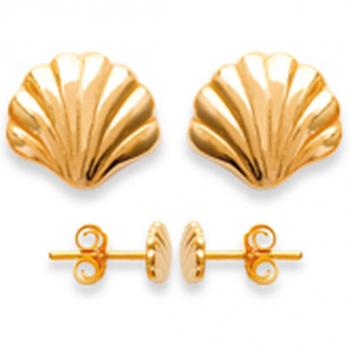 L’Essence Dorée – Boucles Coquille Saint‑Jacques 5×6 mm
