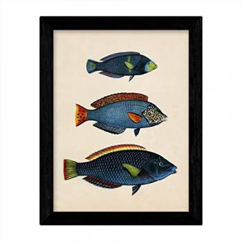 Póster Vintage Tres Peces Azules Amarillo Verde Rojo 250 Gr