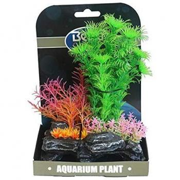 Betta Mini Air Garden – Dual Color