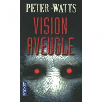 Vision aveugle
