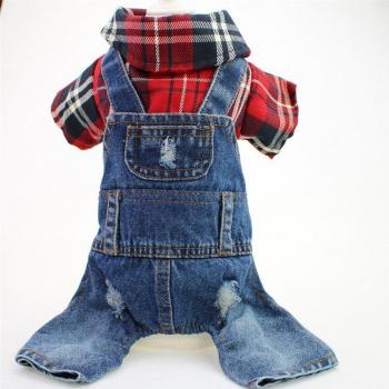 Outfit Denim Perro: Ropa vaquera de cuatro patas en colores vibrantes
