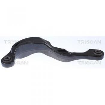 Triscansport Suspensão Braço 8500 (27547)