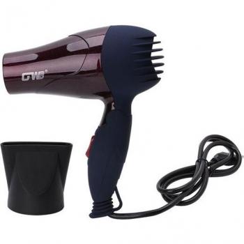 GW555 Secador Europeo 220V