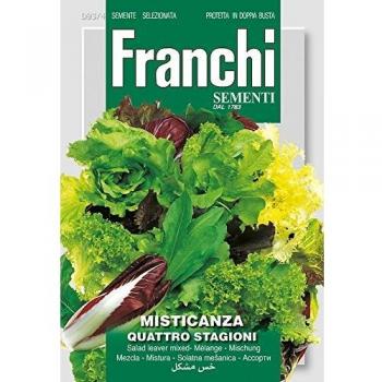 Fraschetti SEMI MISTICANZA 93/4