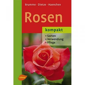 Rosen kompakt: Sorten