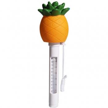 Cute Floating Thermometer for Pool