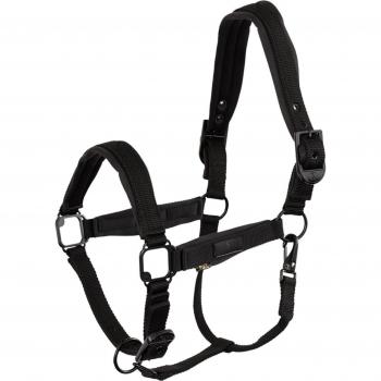 BR Halfter Equitation Fedde