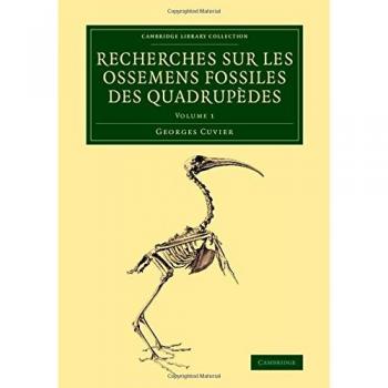 Recherches sur les ossemens fossiles des quadrupèdes