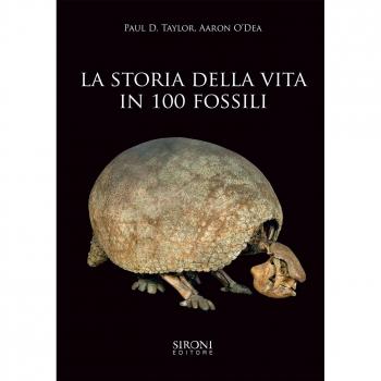 La storia della vita in 100 fossili. Ediz. illustrata
