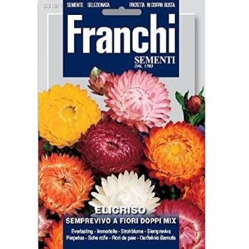 Fiori di Semprevivo Elicriso