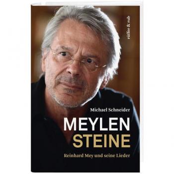Meylensteine von Michael Schneider, Gebunden