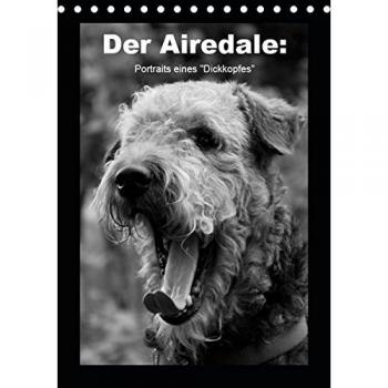 Der Airedale: Portraits eines Dickkopfes