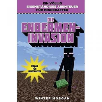 Die Endermen-Invasion