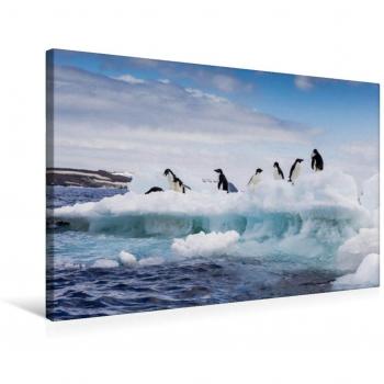 FB Frank Baumert – Calvendo Textil-Canvas 75 x 50 cm (Adelie-Pinguine)