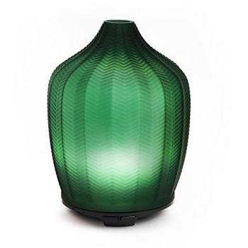 Fern Essential Oil Diffuser
