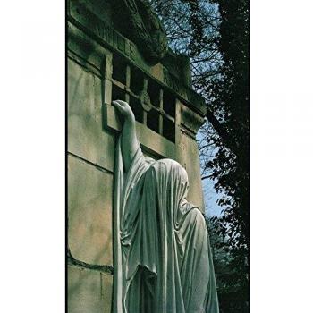 Within the Realm of a Dying Sun [Vinyl LP]