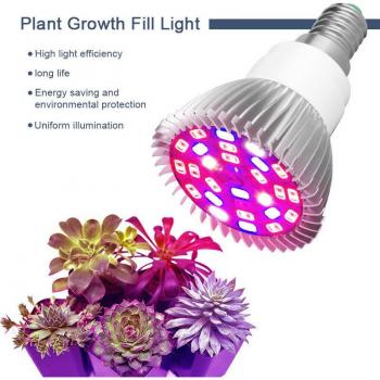 Lampe Hydroponic Plus 50W