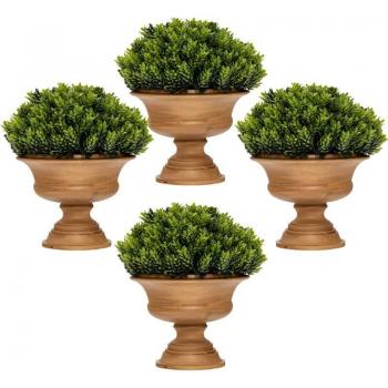 Pinos Falsos Elegantes