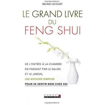 Le grand livre du feng shui : De l'entrée à la chambre, en passant par le salon et le jardin, les astuces simples pour se sentir bien chez soi