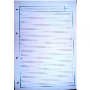 Staufen Arbeitsblätterblock 3 Style A4 80g/qm 50 Blatt Doppellini