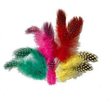 Plumas de Guinea Fowl 40-80 mm 3 g 36 unidades
