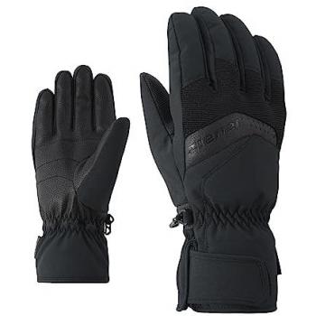 Ziener Herren Skihandschuhe GABINO