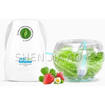 Home Ozonizer
