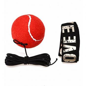 Reflex Training Ball