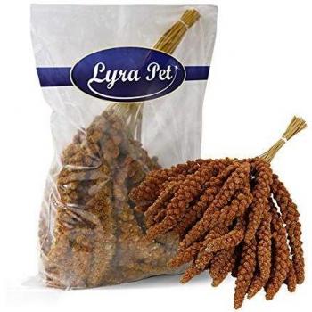 Lyra Pet Kolbenhirse für Sittiche 15 kg