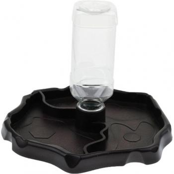 Reptile Feeding Bowl