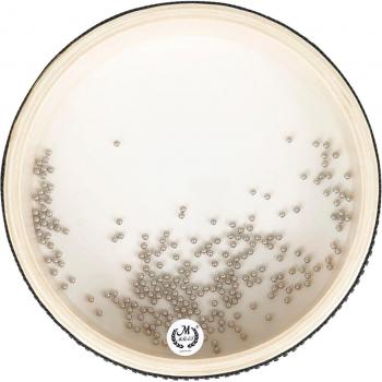6-Inch Natural Color Ocean Drum