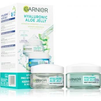 Garnier Soin Visage Aloe Hyaluronique Jour et Nuit