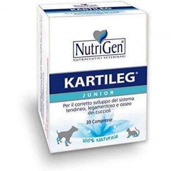 Kartileg j 30tav