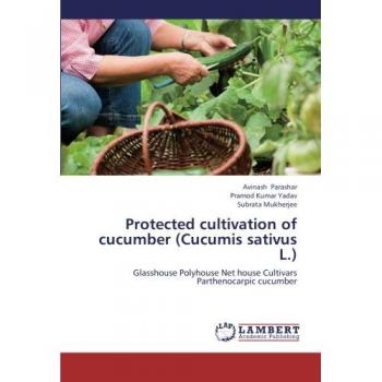 Protected cultivation of cucumber