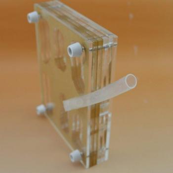 Acrylic Ant Colony House