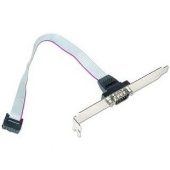 Interfaccia Serial DB9 Gembird – Connettore Jack Com 9POL