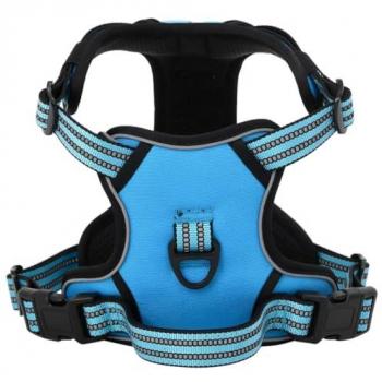 Día y Noche Arnés para perros con correa y collar ajustable azul L