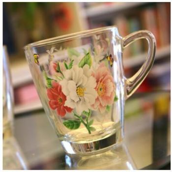 Cold Water and Juice Glass Cup